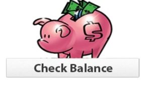 Gift Card Balance Checker